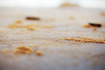 Sand beach with texture.