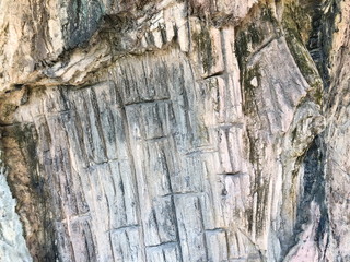 Decorative red cement wall background