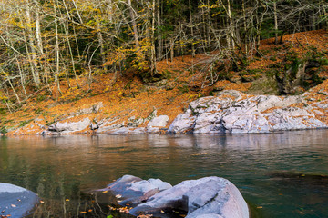 Clean mountain river in the autumn forest.