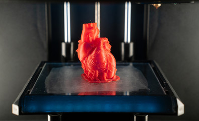 3d printer prints the model of heart, process of printing organs on a 3d printer, creating a model...