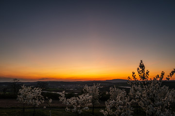 sunset over the field