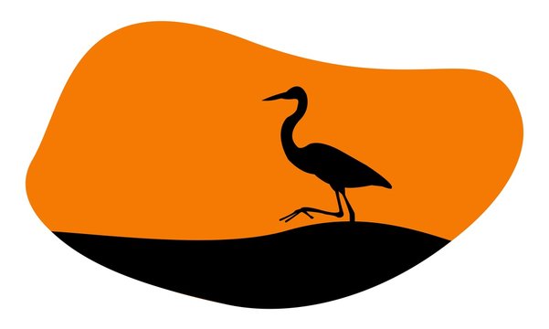 recommend clip art: heron bird  on sunsetillustration