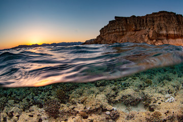 Fototapeta premium coral reef