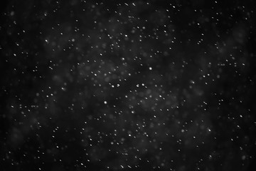 Obraz premium snow black background abstract texture, snowflakes falling in the sky overlay