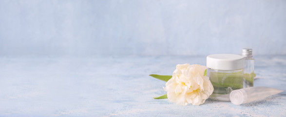 Different cosmetic products on color background with space for text