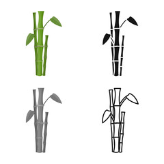 Isolated object of bamboo and tree logo. Collection of bamboo and green vector icon for stock.