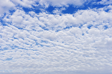 Fototapeta premium Cloudscape with altocumulus clouds, Altocumulus middle-altitude cloud in stratocumuliform - natural background
