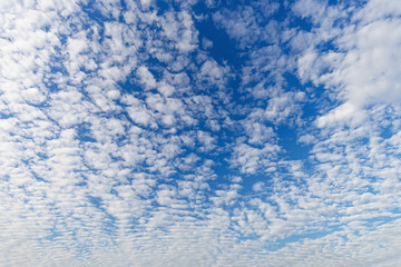 Obraz premium Cloudscape with altocumulus clouds, Altocumulus middle-altitude cloud in stratocumuliform - natural background