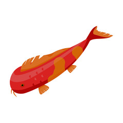 Carp vector icon.Cartoon vector icon isolated on white background carp.
