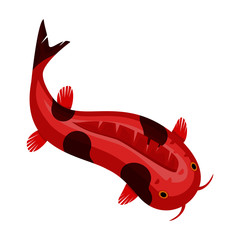 Carp vector icon.Cartoon vector icon isolated on white background carp.