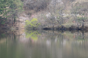 호수가 보이는 아름다운 봄풍경