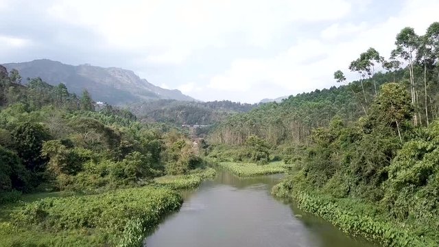 Fly over a River surrounded by trees