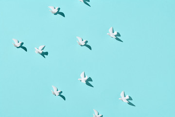 White dove on abstract blue sky background