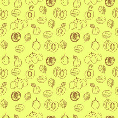 Seamless pattern apricots , halves with seeds, twigs and leaves, lettering, vector illustration, yellow and brown