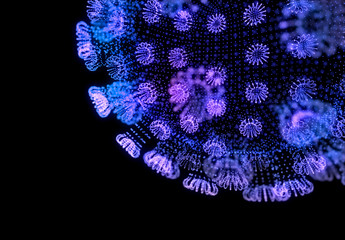 Hologram of coronavirus on a black background. 3D models of coronavirus bacteria. 3d illustration.