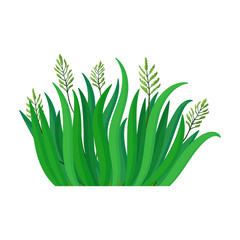Green grass vector icon.Cartoon vector icon isolated on white background green grass.