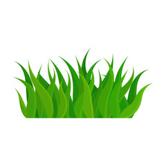 Green grass vector icon.Cartoon vector icon isolated on white background green grass.
