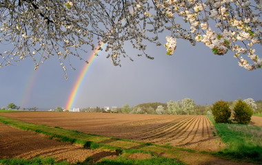 Regenbogen