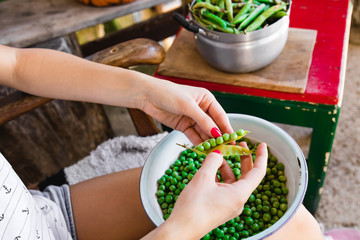 Woman preparing fresh organic peas and taking it out from a shell.