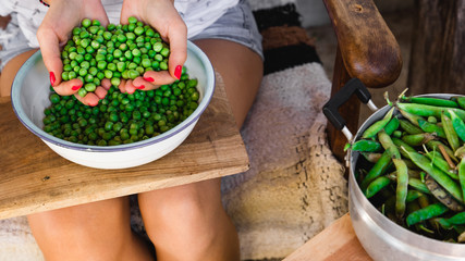 Woman preparing fresh organic peas and taking it out from a shell.