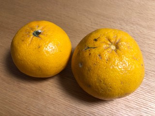 採れたての八朔