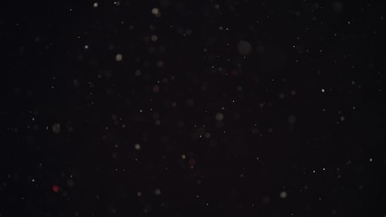 Fototapeta premium 4k Natural Dust Organic Floating particles on black background. Dust in air atmosphere for your projects! Just drop it over your footage and use blending (screen) mode