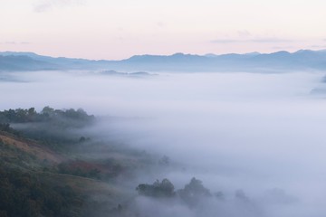 fog in the mountains