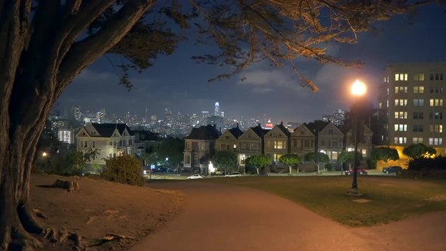 The Painted Ladies in San Francisco California from the park across the street at night time