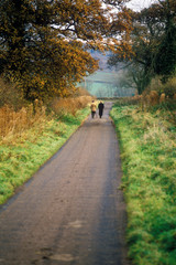 Fototapeta na wymiar Walking in the English countryside