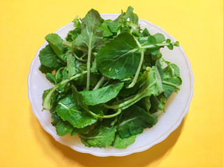 Young rape (canola) leaves, korean spring vegetable.