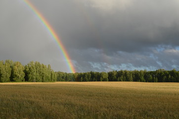 rainbow over the fields