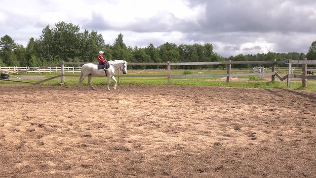 Boy rides a horse in paddock. A little boy rides a step on a white horse on the sandy paddock.