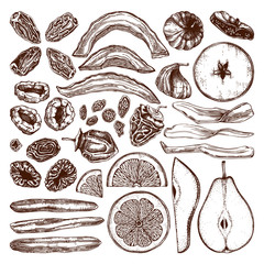 Dried fruits and berries set. Hand drawn dehydrated fruit sketches - dried mango, melon, fig, apricot, banana, persimmon, dates, prune, raisin. For vegan food, snacks, breakfast, granola, desserts.