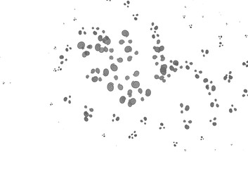 Light Silver, Gray vector template with lines, ovals.