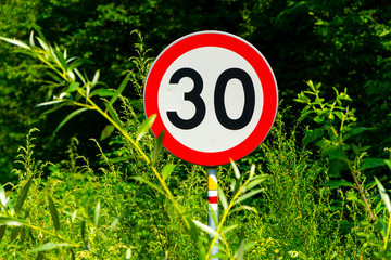 Znak drogowy w krzakach Ograniczenie prędkości do 30 © Heroc