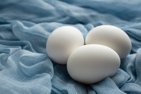 Healthy eating protein in white chicken eggs
