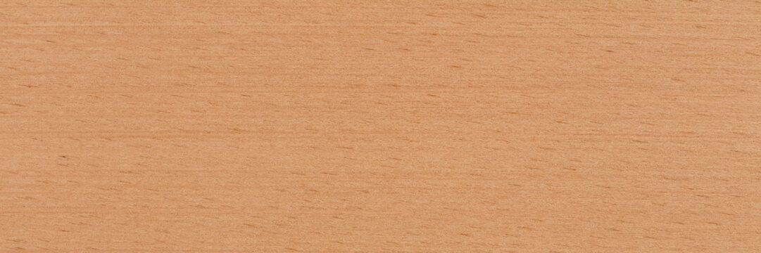 Natural beech veneer background in warm beige color. Natural wood texture, pattern of a long veneer sheet, plank.