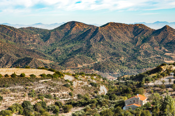 Great Cyprus mountains coverd be trees. Autumn