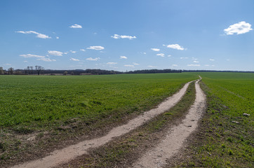 Obraz premium Long road through the large farm field