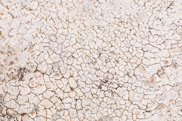 Muro a scaglie - texture