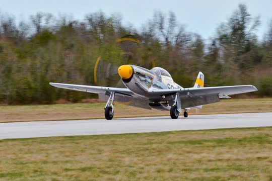 P51 WWII Aircraft