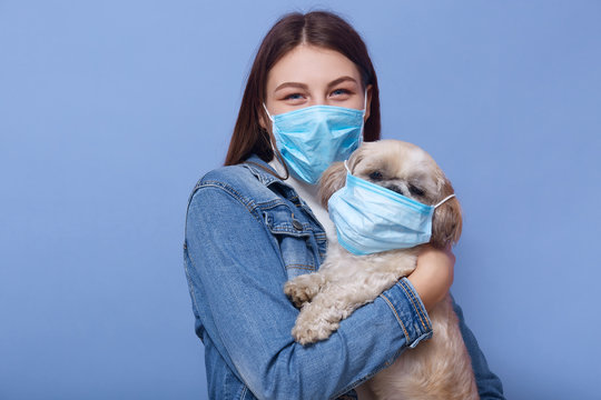 image of dark haired female with dog in hands, lady wearing face mask on her pet for fun, posing isolated over blue studio background, protects from virus. Corona virus, covid19, quarantine concept.