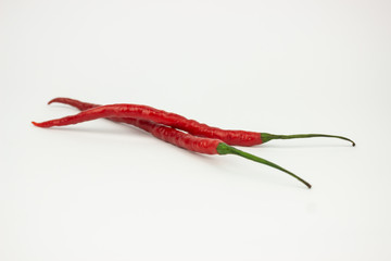 Red chilli pepper on whhite background