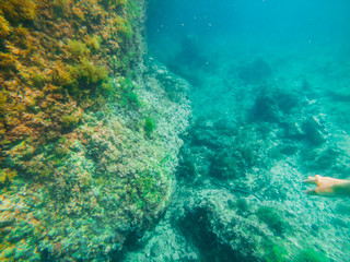 Fototapeta na wymiar underwater sea bottom view