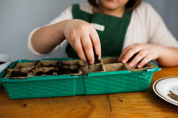 child sows seeds in peat pots, planting seedlings