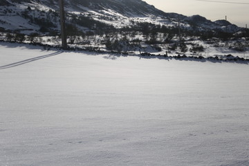 Paisaje blanco