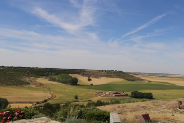 Fototapeta premium Campos de cultivo