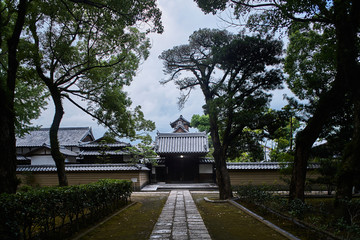 Japanese Buddhist Temples and Trees