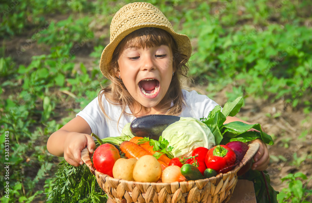 Wall mural a child in the vegetable garden. selective focus.