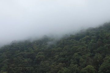 fog in the mountains